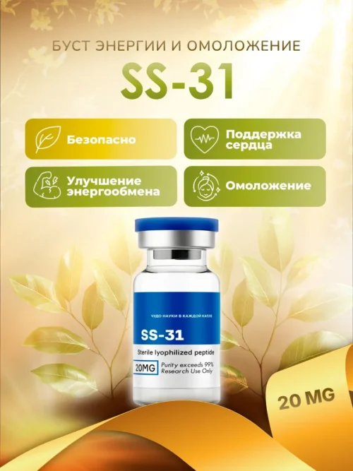 ss31 SS-31
